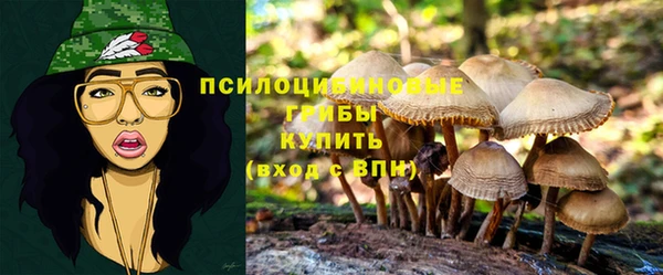 spice Гусь-Хрустальный