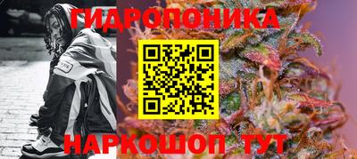 прущие крисы Беслан