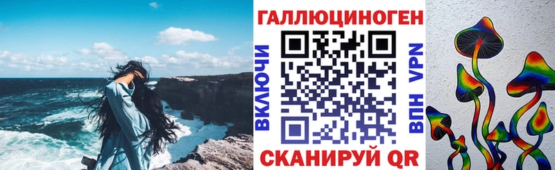купить   Донской  Псилоцибиновые грибы Cubensis 