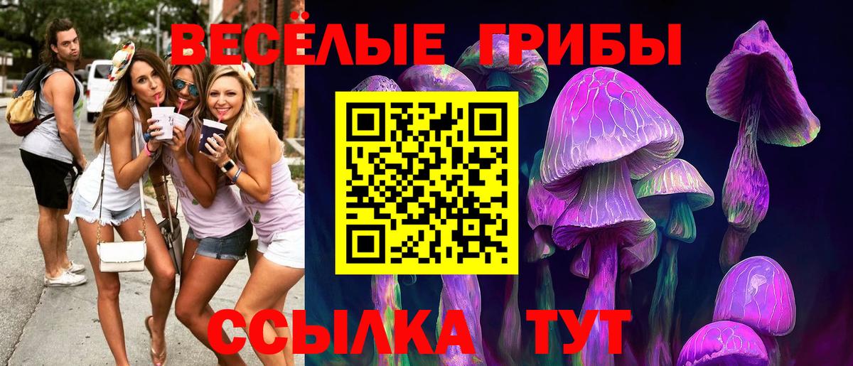 Псилоцибиновые грибы Psilocybine cubensis  Вход с VPN  Галлюциногенные грибы мицелий  Донской 